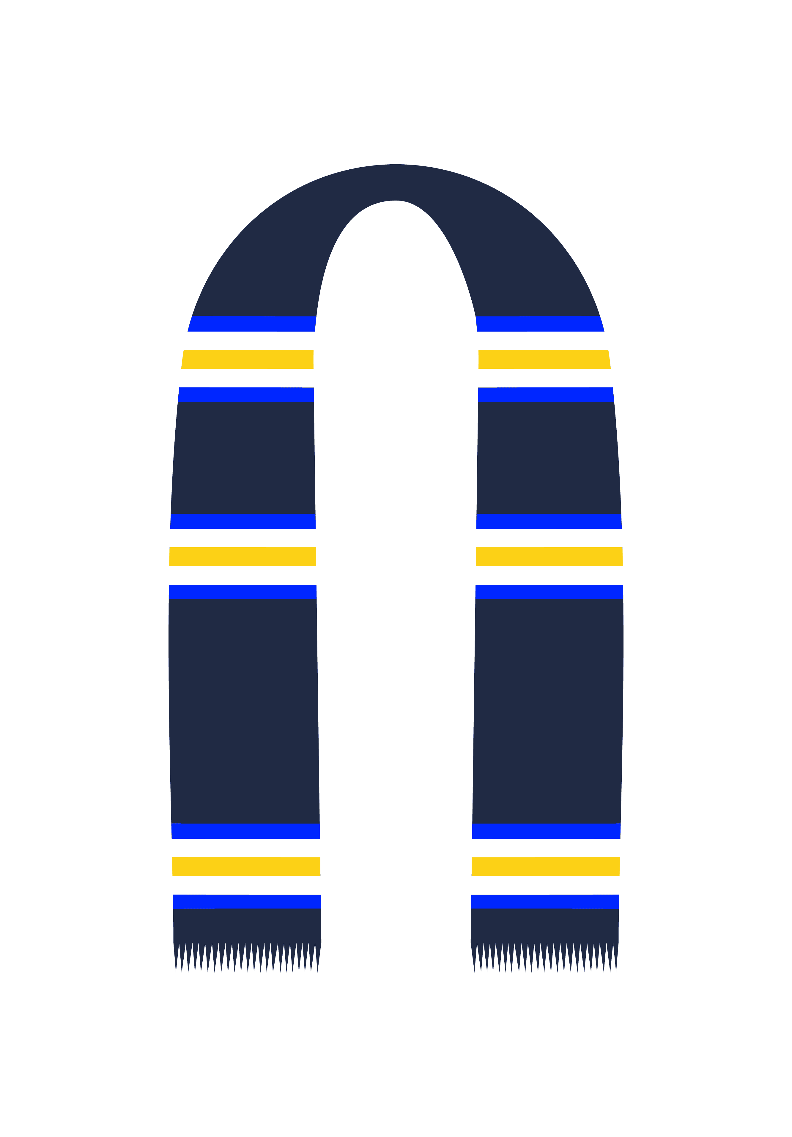 Blue Scholar